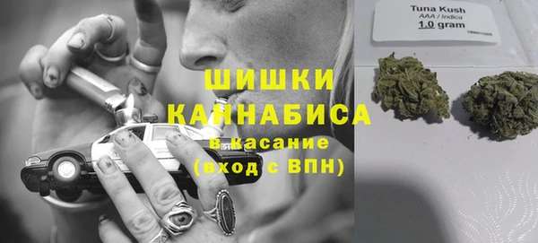 ГАЛЛЮЦИНОГЕННЫЕ ГРИБЫ Вяземский