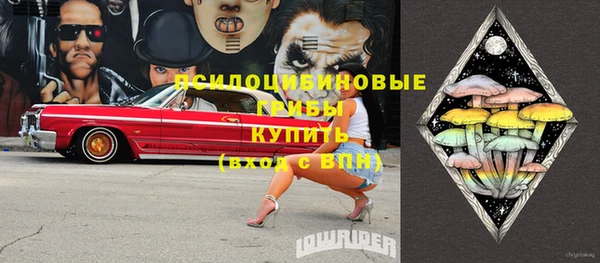 ГАЛЛЮЦИНОГЕННЫЕ ГРИБЫ Вяземский